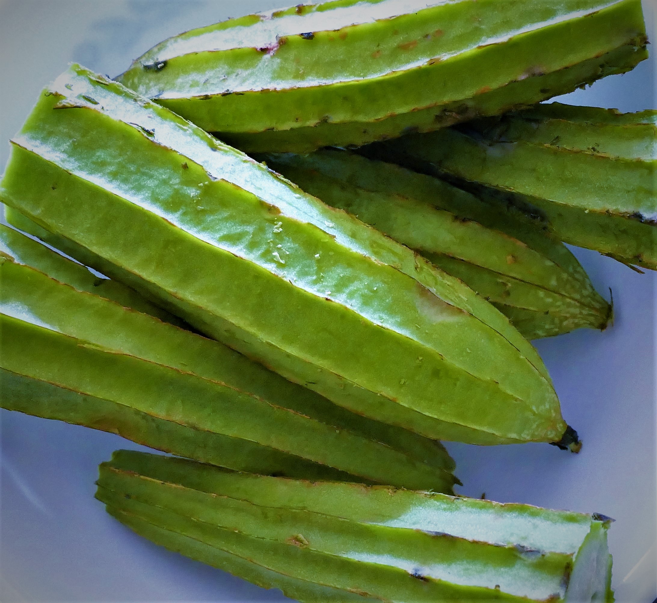 Nanoparticles from ridge-gourd lignin - IndiaBioscience