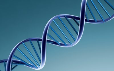 Are Genes Really Our Destiny?