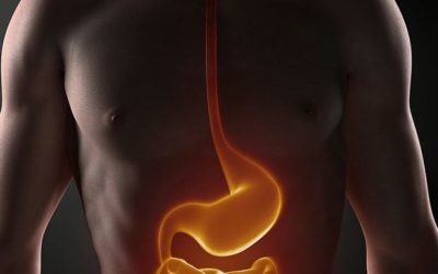 Perfect Digestion is the Key – by Dr. Rhonda Egidio