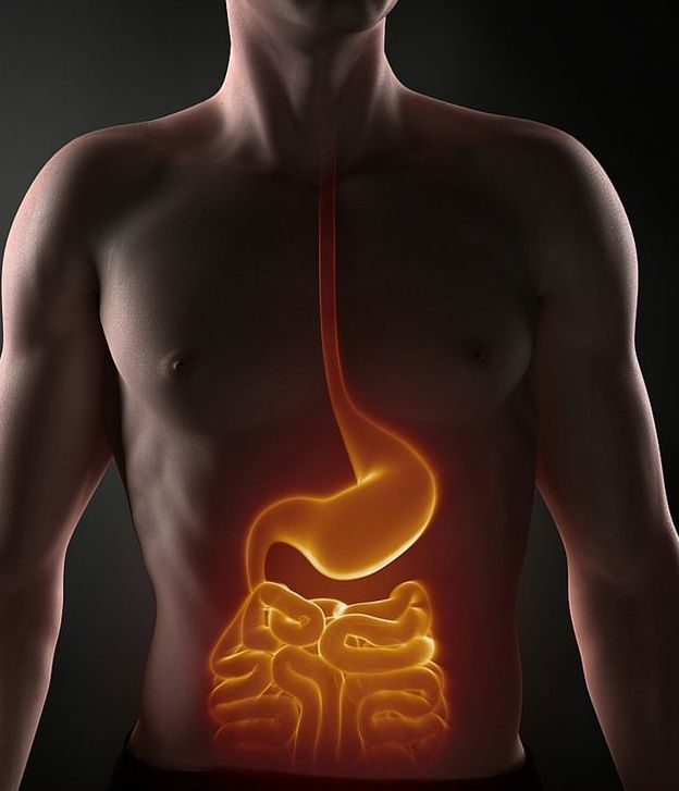 Perfect Digestion is the Key – by Dr. Rhonda Egidio