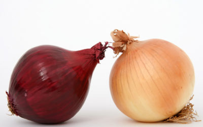 Why Are Organic Onions So Much Better?