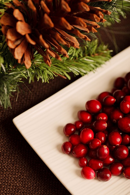 Fresh Cranberries and Pine Cone
