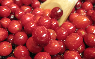 Cranberries, Consciousness, and the Cook