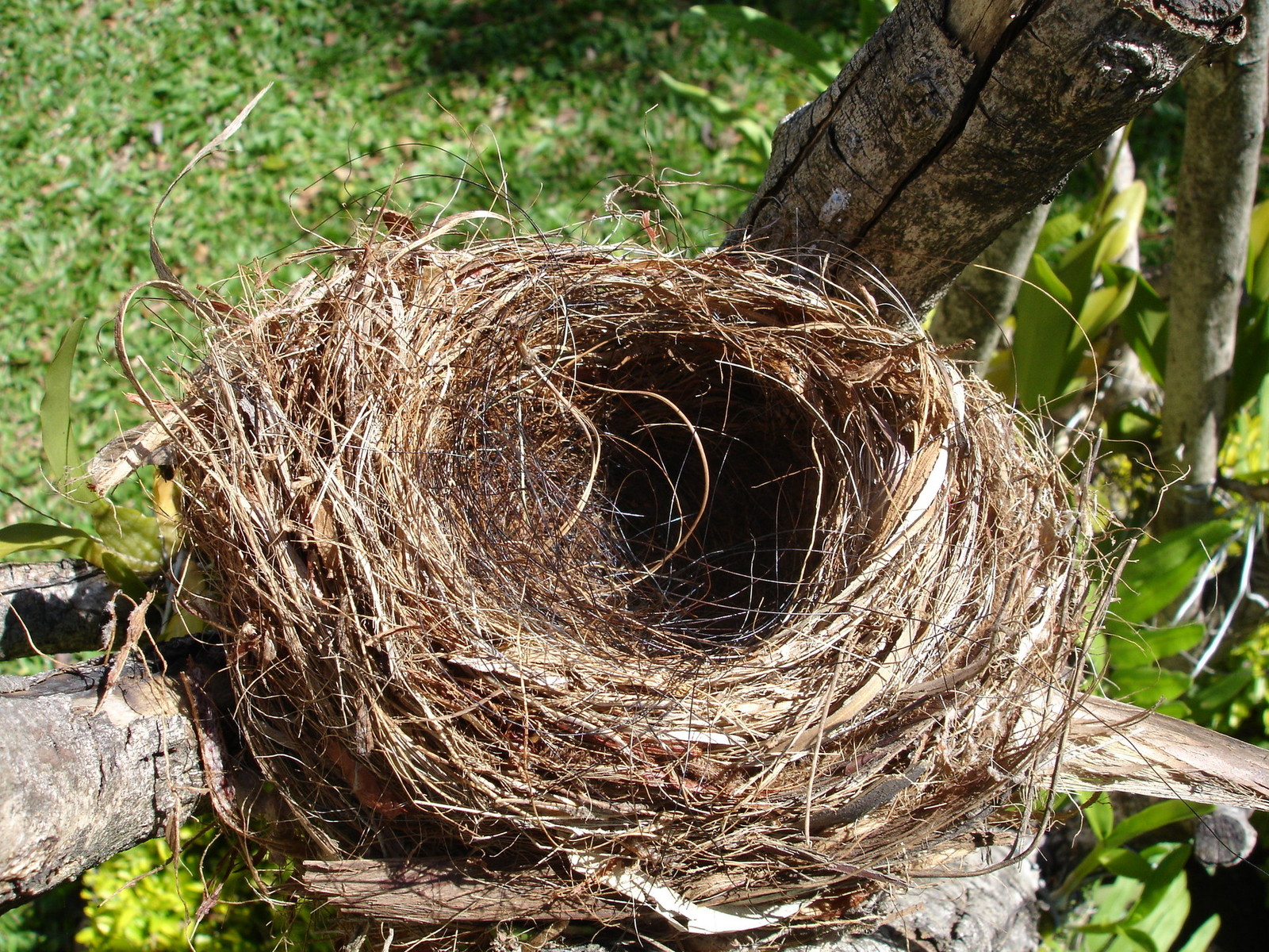 empty nest living room