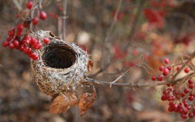 You Are Not Alone: Empty Nest Syndrome Is Common