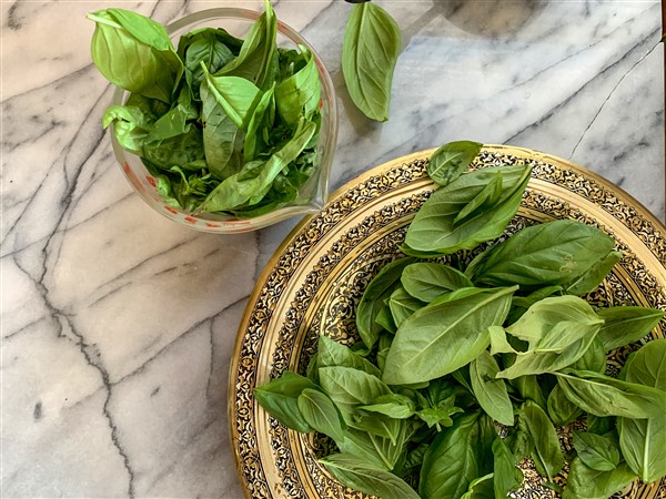 Fresh Vegetarian Italian Basil Pesto Healthy Indian