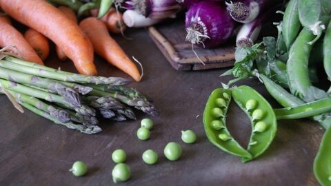 Lectin Free Life