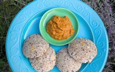 Soft Kefir-Quinoa-Rawa Idli