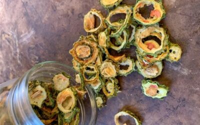 Dehydrated Masala Karela Chips