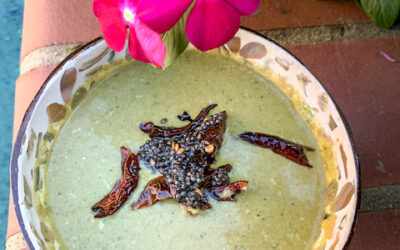 Doddapatre Tambuli (Karpooravalli Thayir Pachadi)