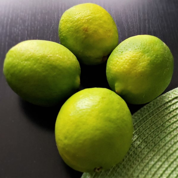 Limes