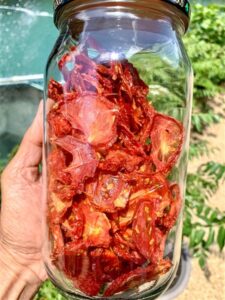 Dehydrated tomatoes for snacking