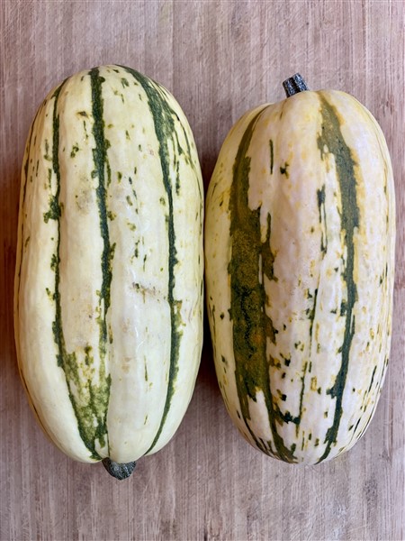 Delicata Squash