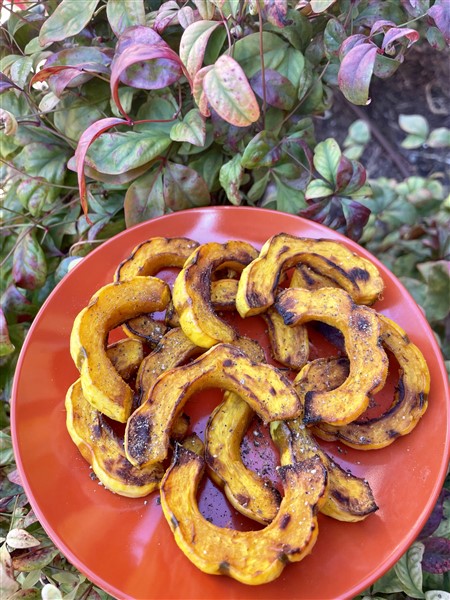 Roasted Delicata Squash