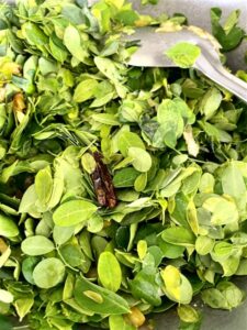 Moringa Leaf Curry With Roasted Peanuts
