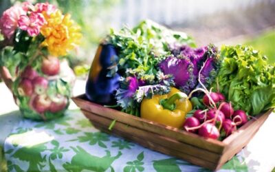 DIY Natural Fertilizers & Homemade Pesticides For Your Garden