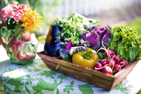 DIY Natural Fertilizers & Homemade Pesticides For Your Garden