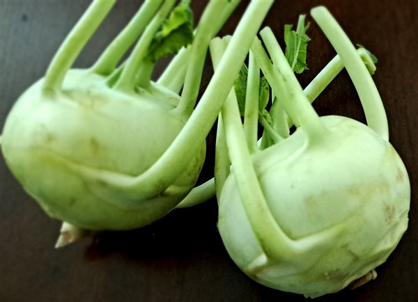 Kohlrabi (Knol Khol)